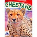 Wild Cats