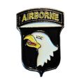 101st Airbourne Division USA US Army Combat Ins...