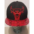 47 BRAND CHICAGO BULLS WINDY CITY NBA SKATER HA...