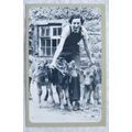 c.1980s PC Land Girl & Calves, St Agnes, Cornwa...