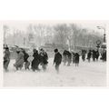 New York Blizzard Bus Transport Disaster Award ...