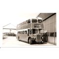 Black & White Photograph of Southend Corporatio...