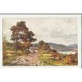 7345 ARGYLLSHIRE Loch Etive Tuck Oilette Postcard