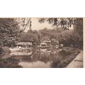 The River Wey Guildford Surrey Postcard (SY77292)
