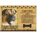 Cane Corso Engraved Wood Picture Frame Magnet