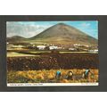 Postcard Canary Islands Lanzarote John Hinde 2C...