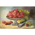 Art MARY GOLAY "Choise Fruit" Postcard (Tuck Oi...