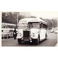 Bus Photo Finches Coaches Leyland Tiger Half Ca...