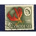 Rhodesia QEII 1966 6d Flame Lily Used SG 378 Sc...