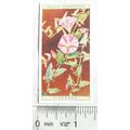 1923 Wills, Wild Flowers No. 3 Bindweed