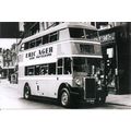 Black & White Photograph of Northampton Corpora...