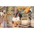A Boutique or Betel & Fruit Shop, Ceylon : Plat...