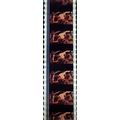 Pk DAU - B - MIX - c 056D . - 1 STRIP OF 5 - 35...
