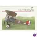 Artist Drawn 75th Anniversary Of The RAF EUR AP...