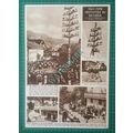 (X502) Bernau Bavaria Germany May Time Festivit...