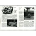 (6482) Lilian Rudge Essex Epping Bury Stone Hol...