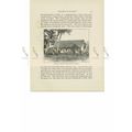 Rev John Jones House, Mare, Loyalty Islands, Bo...