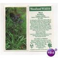 Brooke Bond Tea card Woodland Wildlife series n...