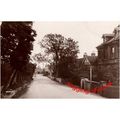 Sussex - WADHURST - The Walk/High Street - RP -...