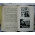 1952 Born of Those Years - autobiography Perry ...