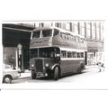 Black & White Photo of Staniers Ltd. of Newchap...