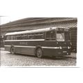 Black & White Photograph of Ribble Motor Servic...