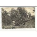 Bedfordshire BIGGLESWADE River Ivel Banks Postc...