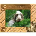 Spinone Italiano Laser Engraved Wood Picture Fr...
