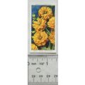 1939 Wills Garden Flowers No. 22 Geum - Orangeman