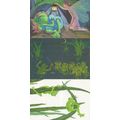 Princess & Frogs 3x London Advertising Postcard s