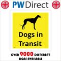 VE177 DOGS IN TRANSIT CAR VAN VEHICLE TRANSPORT...