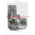 Boars Lair, Forest of Fontainbleau, France, Boo...