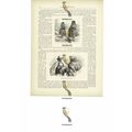 Bolivian Emigrants & Workmen's Wives, Chincha I...