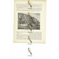 Guano Deposit Workings, Chincha Islands, Peru, ...