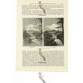 Water-Colour Landscape Painting, Victorian Life...