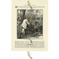 Tiger Sprang Up The Bank, Victorian Life, Book ...