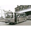 Black & White Photograph of Ribble Motor Servic...
