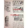 Sacred Animals Of Egypt, Painted Mummy, 6 Image...