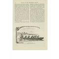 Maori War Canoe, New Zealand, Book Illustration...