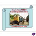Six 6x4 photos: D9019 55019 ROYAL HIGHLAND FUSI...