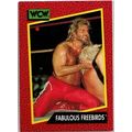 WCW ' FABULOUS FREEBIRDS ' card # 120 (1991)