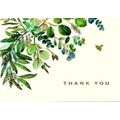 Eucalyptus Thank You Note Cards (14 Cards, 15 Self-Sealing Envelopes) by Peter P