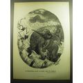 1958 The Philadelphia Bulletin Ad - Cartoon by Richard Decker - Zoo