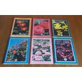 6 - EDITIONS OF THE ROSE MAGAZINE (see descript...