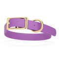 Dog Pet Collar with Brass Hardware Size XL W 1”...