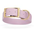 Dog Pet Collar with Brass Hardware Size XL W 1....
