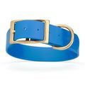Dog Pet Collar with Brass Hardware Size XL W 1....
