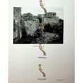 Dynevor Castle & Caer Cynan Castle, Book Illust...