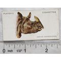 1927 John Player & Sons Wild Animals Heads No. ...