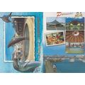 Pornichet French Dolphin Sea Park Restaurant Br...